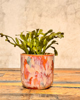 Arté Ceramic Planter - Plant Daddy