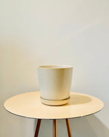 Spec Ceramic Pot - Plant Daddy
