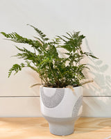 Sundial Drift Ceramic Pot