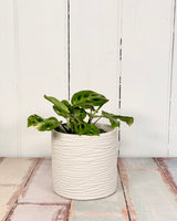 York Planter Pot