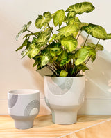 Sundial Drift Ceramic Pot