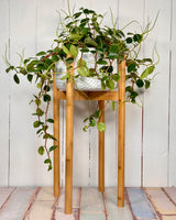 Limbo Wooden Plant Pot Stand