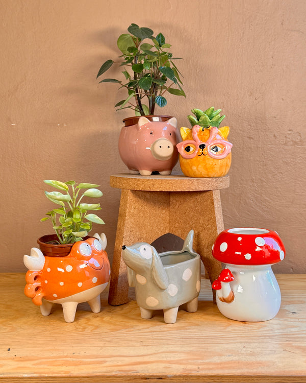 The Zoo Ceramic Planters - Plant Daddy