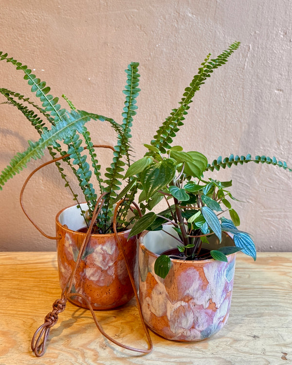 Arté Ceramic Planter - Plant Daddy