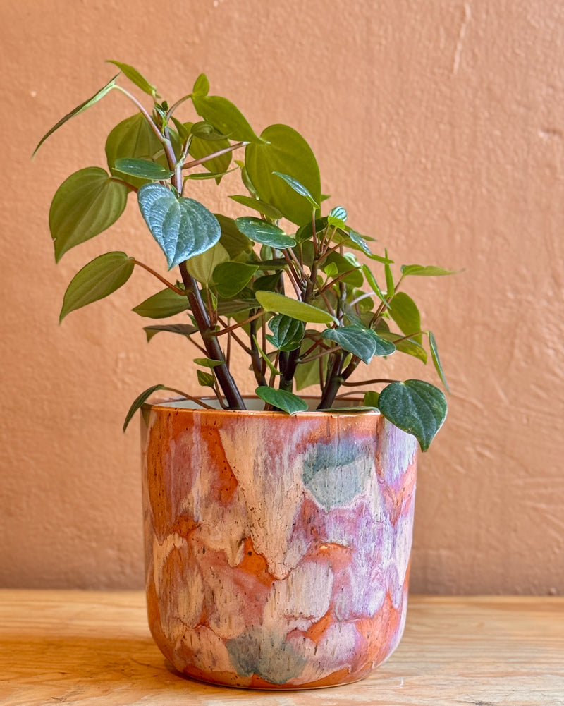 Arté Ceramic Planter - Plant Daddy