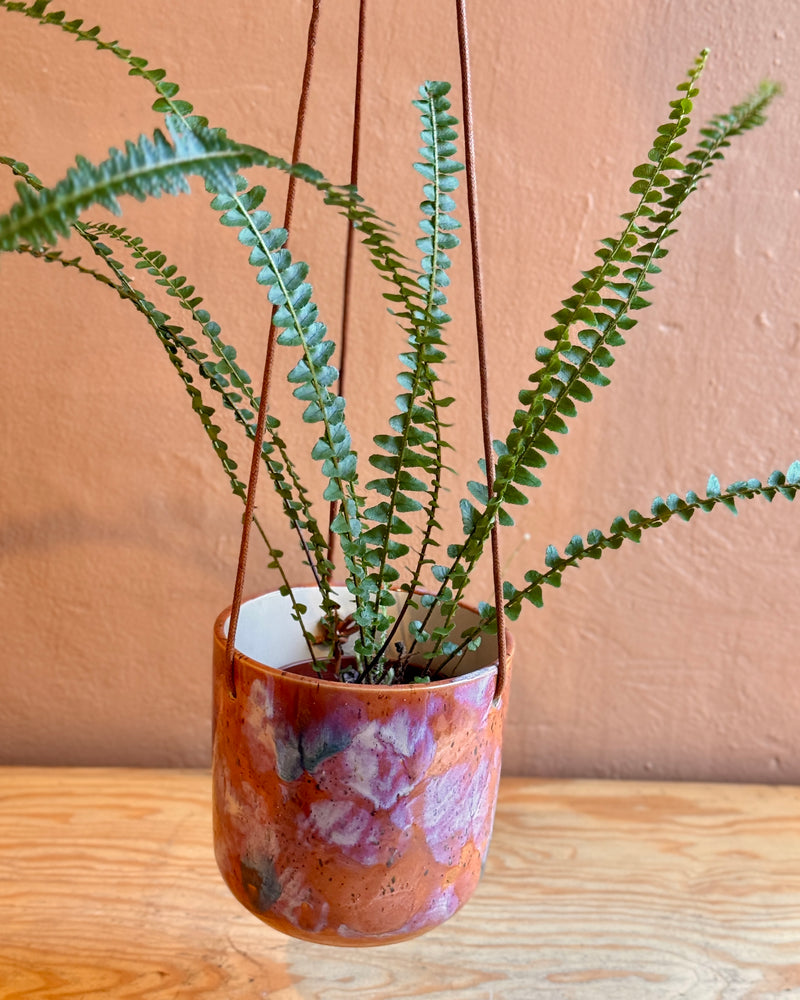 Arté Ceramic Planter - Plant Daddy