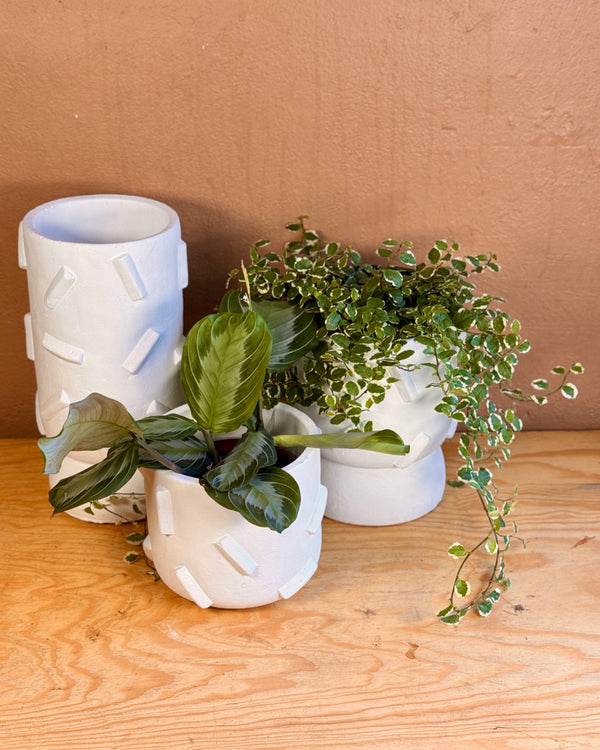 Urban Column Stone Planter & Vase - Plant Daddy