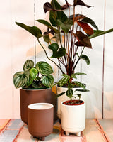 Soft Kora Ceramic Planter
