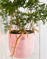 Dotty Terracotta Hanging Pot