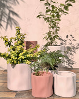 Papier Stone Planter - Plant Daddy