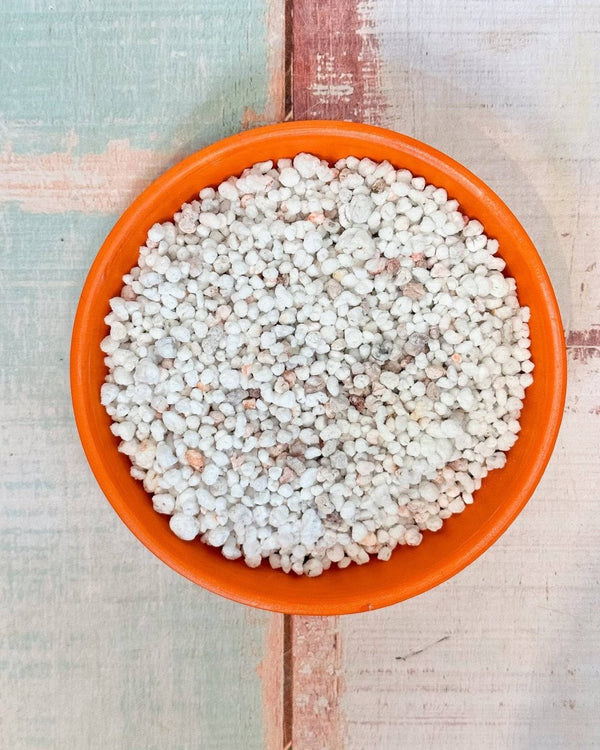 Perlite p500 coarse bulk - Plant Daddy