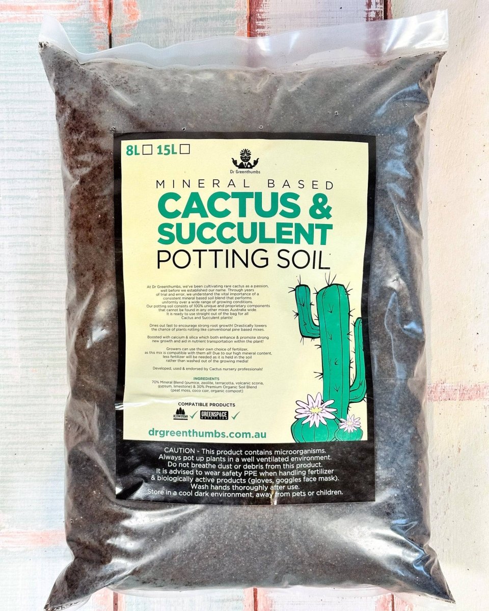 dr cactus succulents Premium Mineral Based Cactus & Succulents Potting Soil