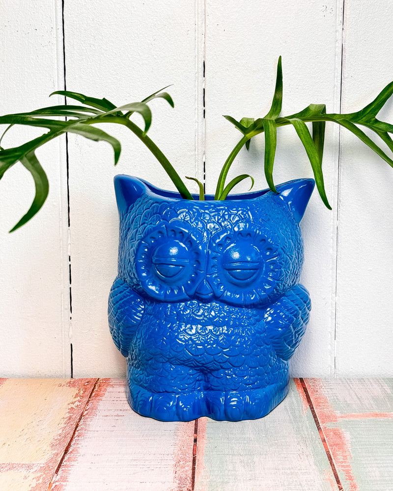 Hoot Owl Planter - Blue