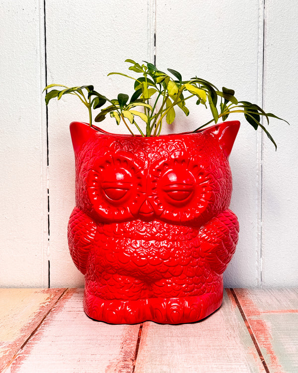 Hoot Owl Planter - Strawberry