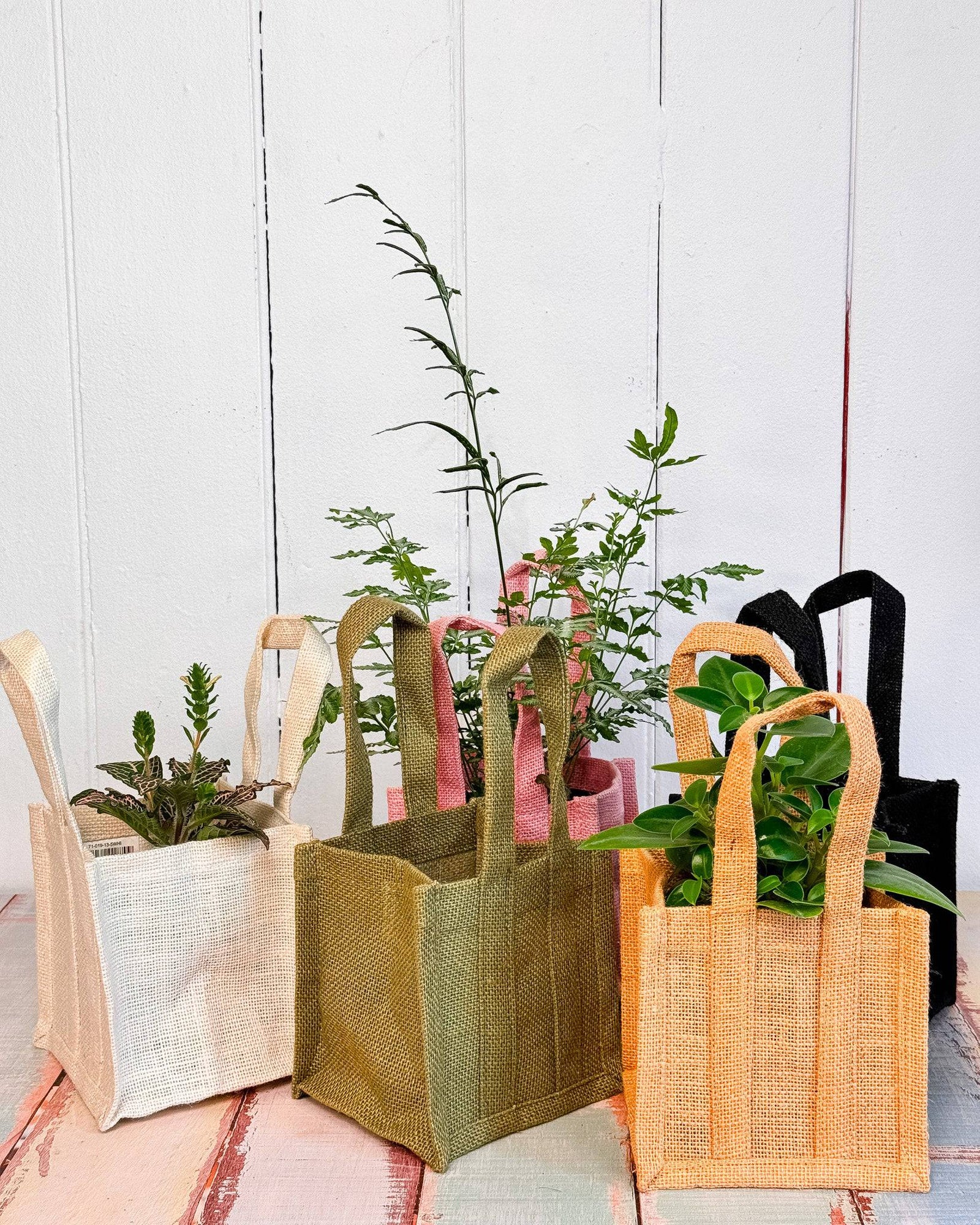 Jute bags for plants sale