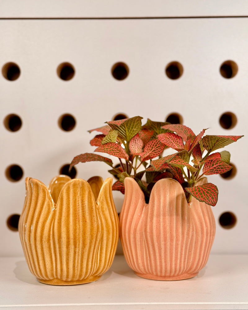 Tulip Ceramic Planter - Plant Daddy