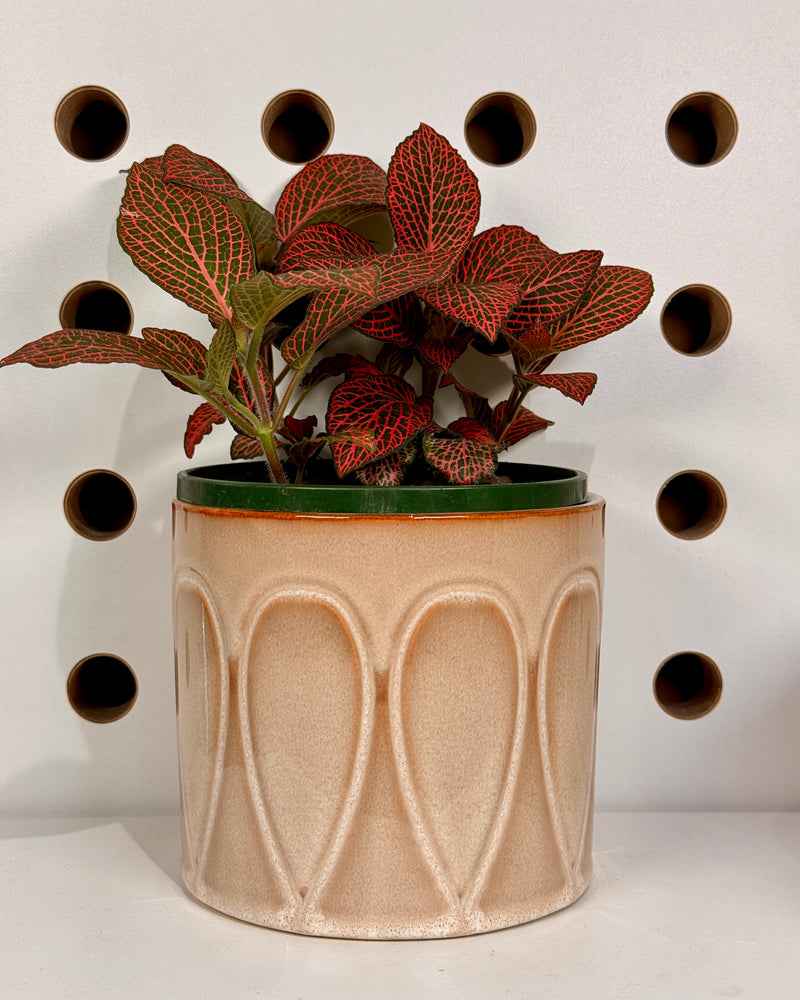 Vintage Ceramic Planter - Plant Daddy