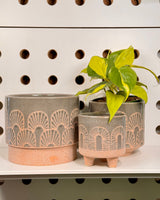 Fossil Ceramic Planter - Plant Daddy