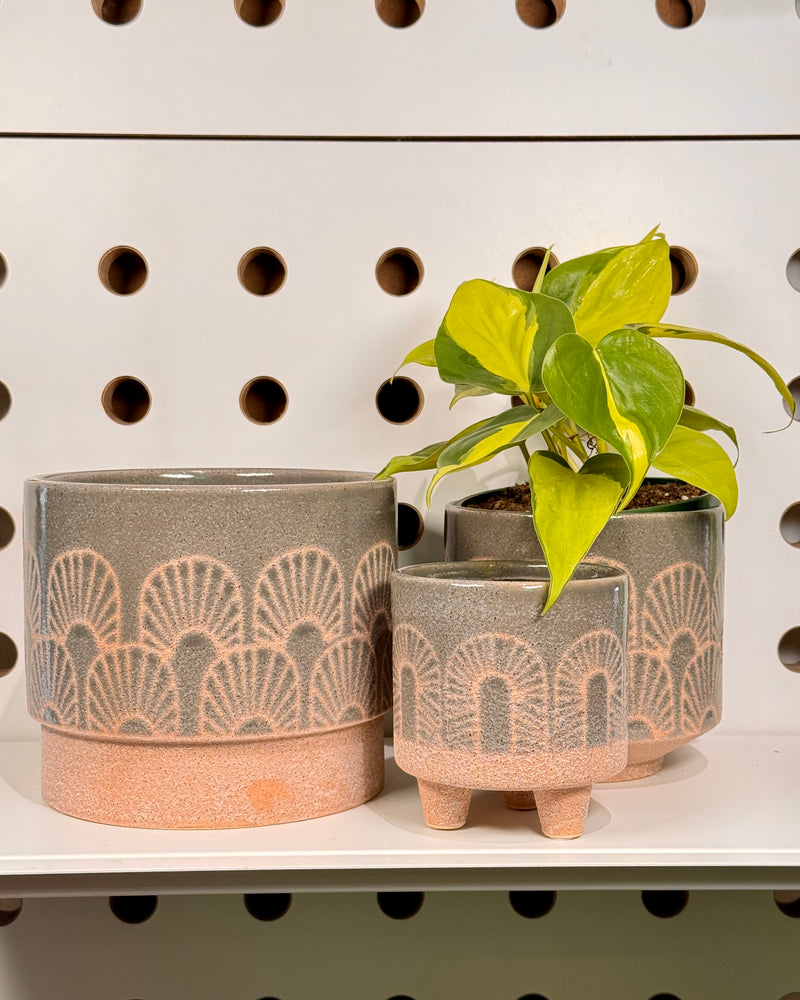 Fossil Ceramic Planter - Plant Daddy