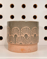 Fossil Ceramic Planter - Plant Daddy