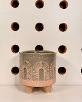 Fossil Ceramic Planter - Plant Daddy