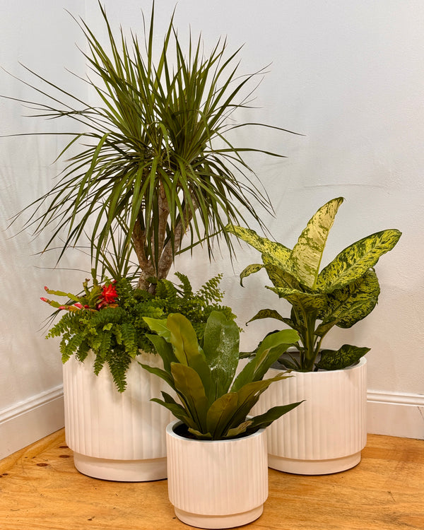 Breezy Lightweight Barrel Pot