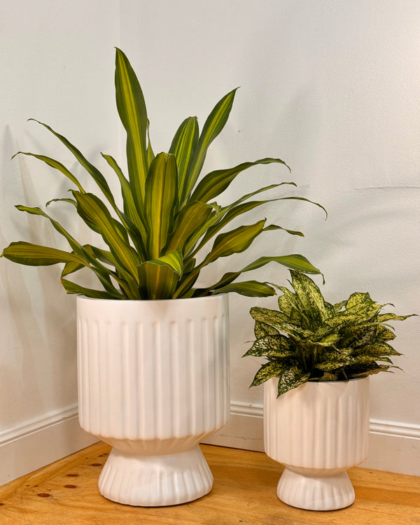 Breezy Lightweight Pillar Pot