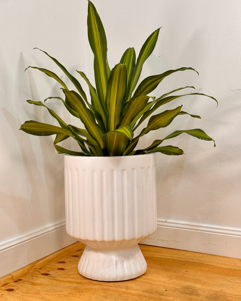 Breezy Lightweight Pillar Pot