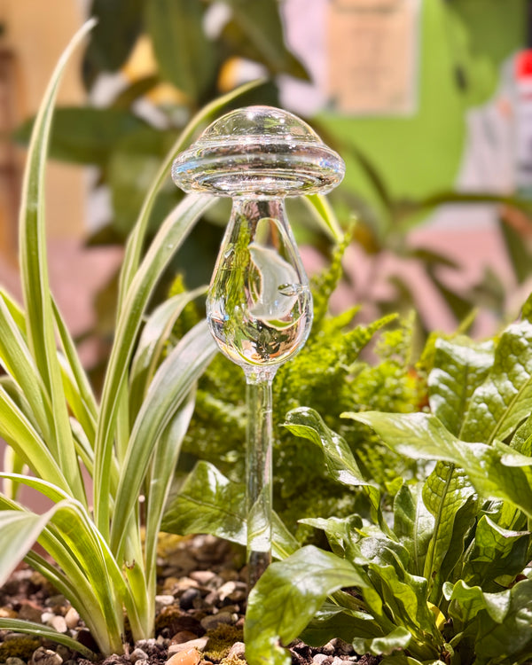 Shroomie Drip Water Seeper