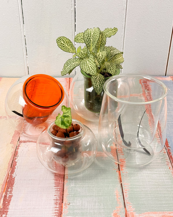 Tilt Self-watering Planter Amber Cup by Cup O Flora