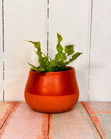 Dollop Ceramic Planter