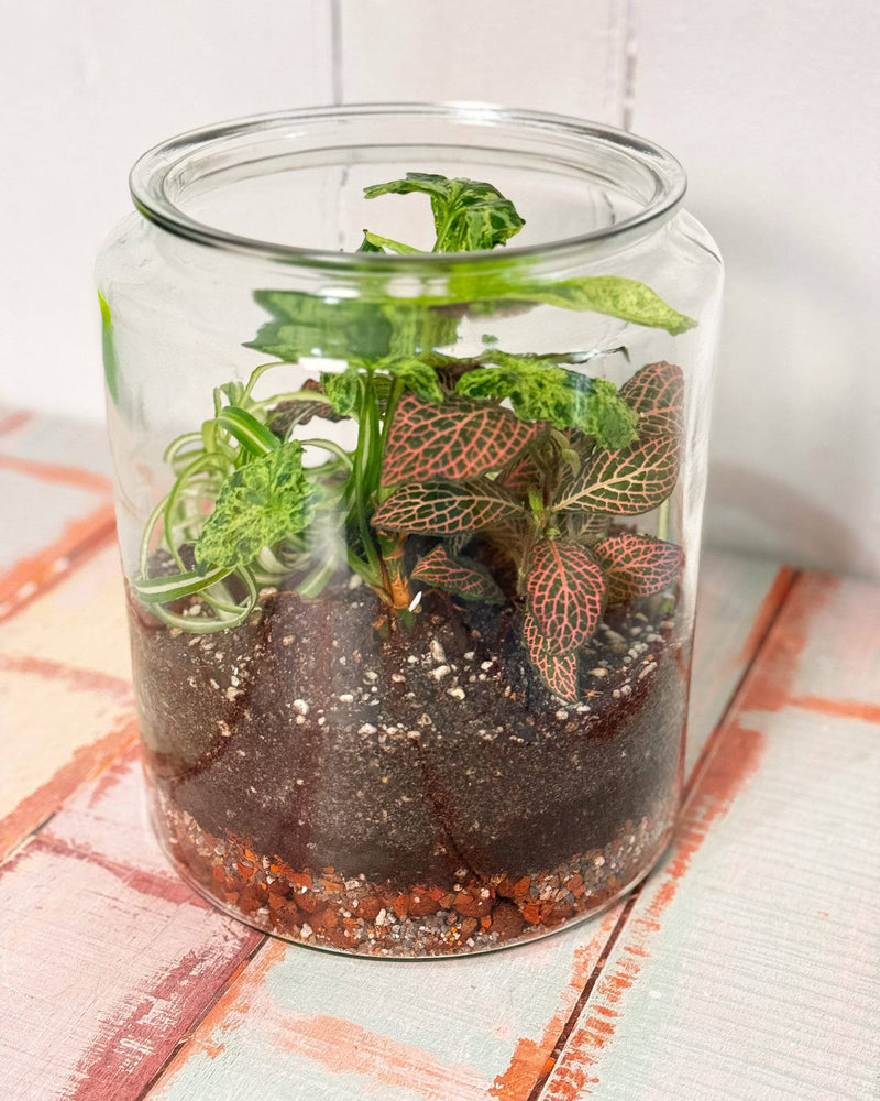 Custom Terrarium with Foliage