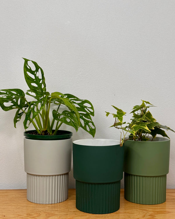 Petra Ceramic Pot - Plant Daddy