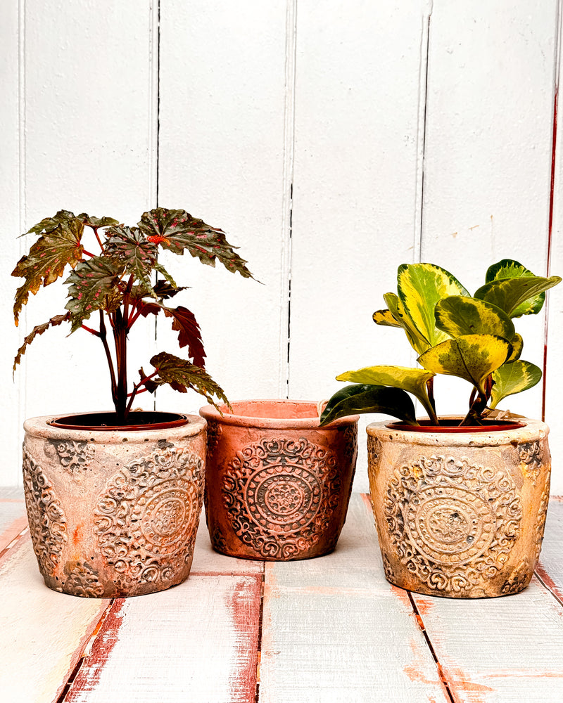 Eco Hemp & Coconut fibre Old Style Pot- handmade by Eché pots