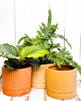 Sand Ceramic Planter