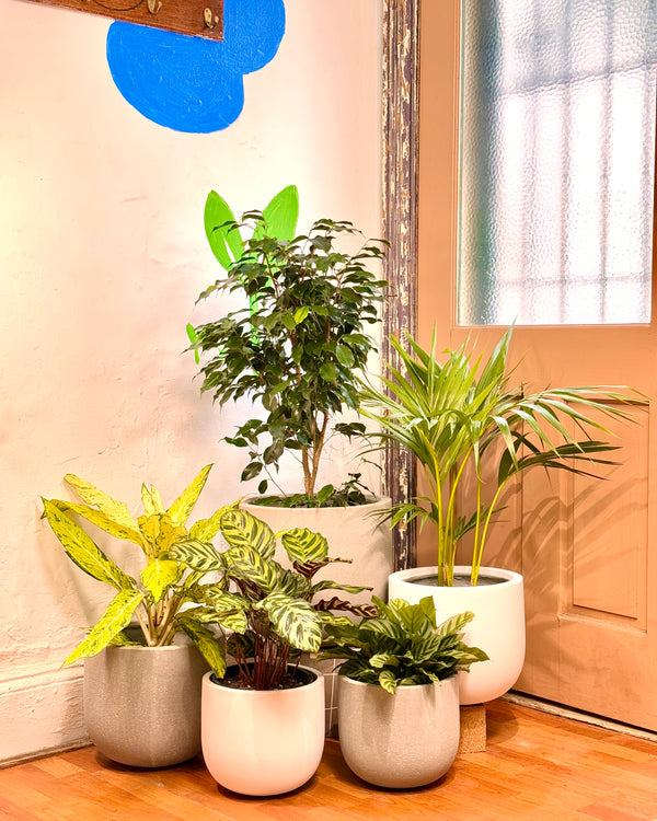 Florence Lightweight Pot