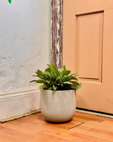 Florence Lightweight Pot