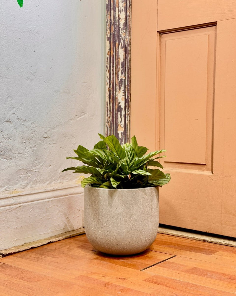 Florence Lightweight Pot