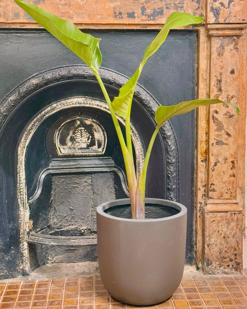 Milano Lightweight Pot