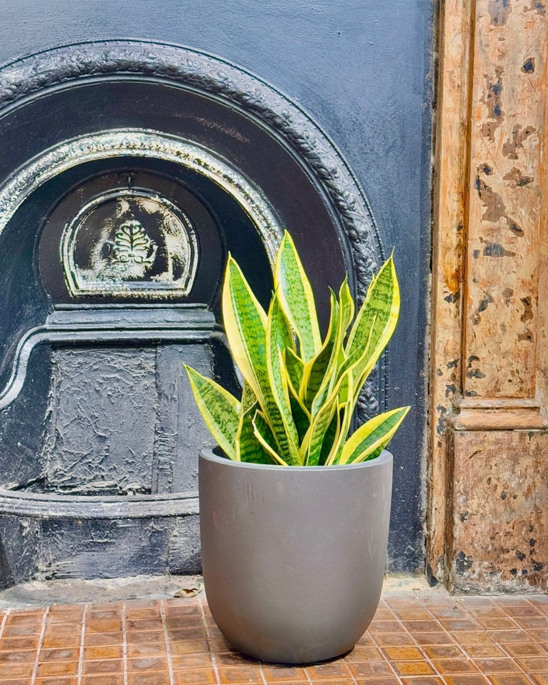 Milano Lightweight Pot
