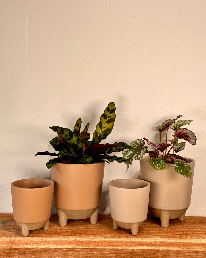 Louie Ceramic Planter Pot