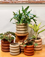 Lulu Ceramic Planter Pot