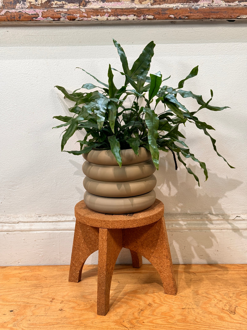 Lulu Ceramic Planter Pot