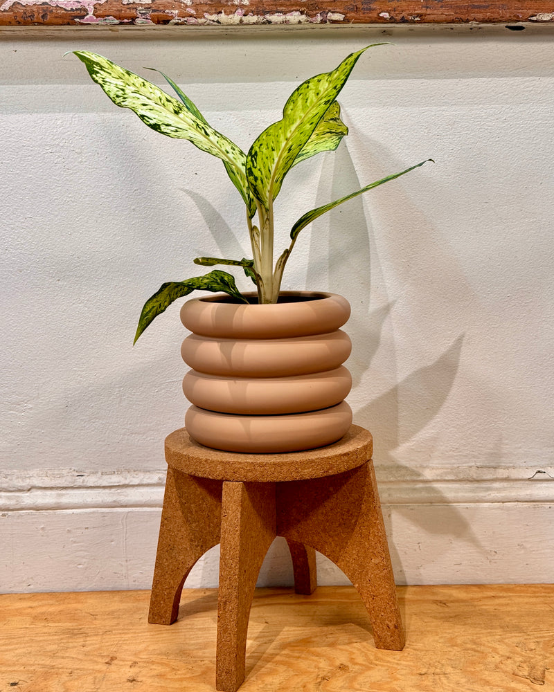 Lulu Ceramic Planter Pot