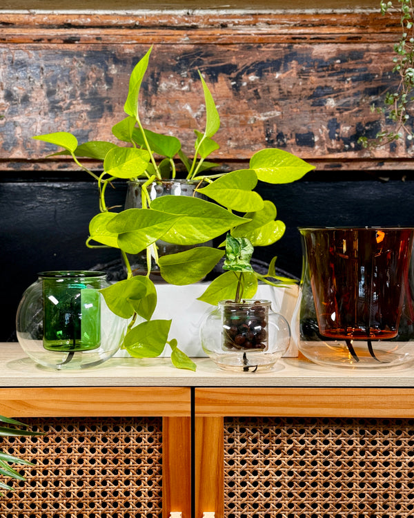 Original Self-watering Planter by Cup O Flora