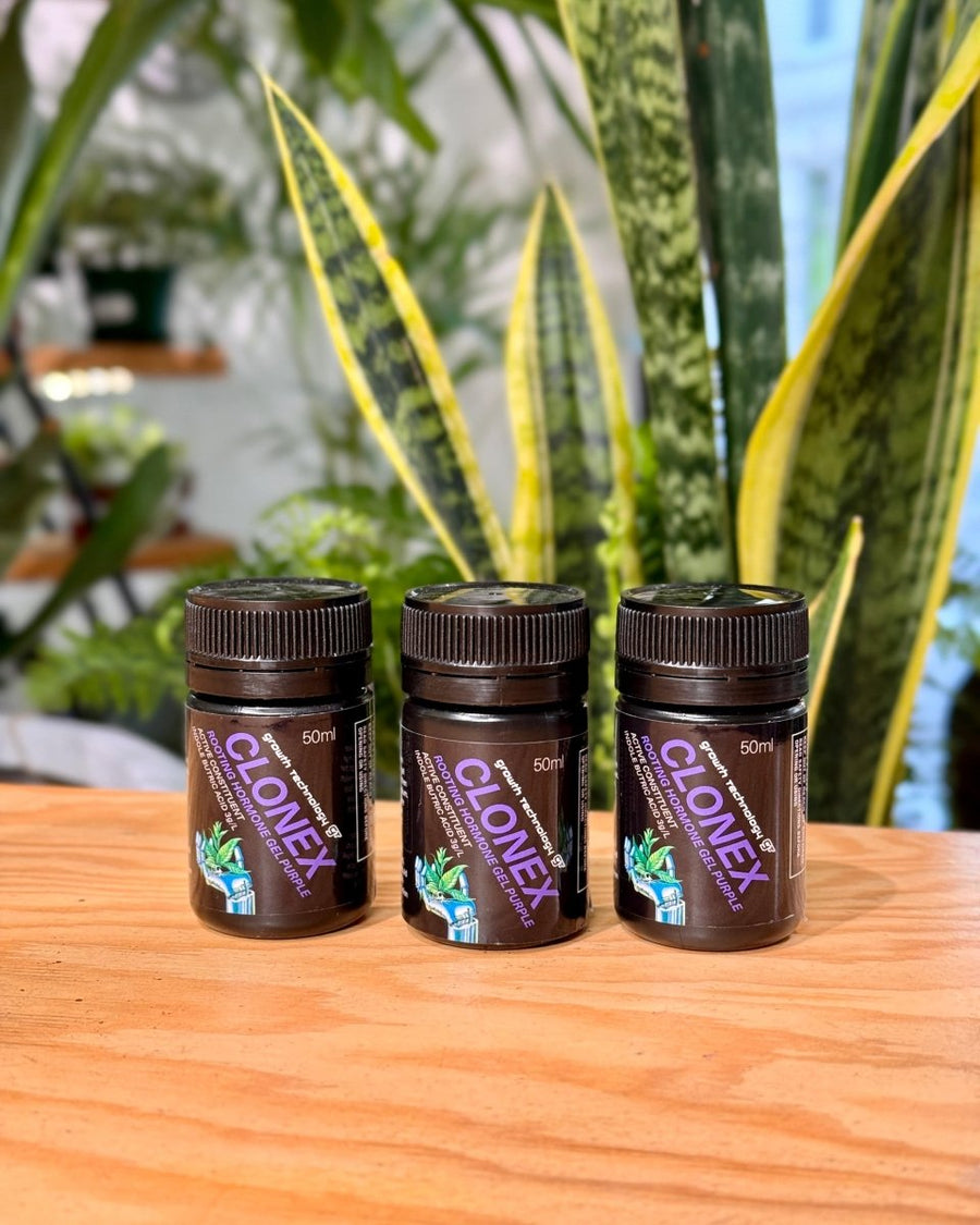 Growth Technology (GT) Clonex Purple Rooting Gel | Plant Daddy
