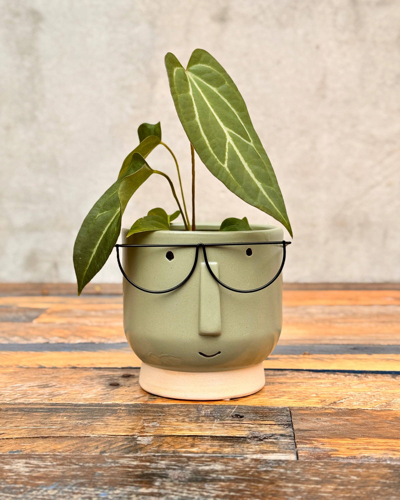 Damon Ceramic Planter