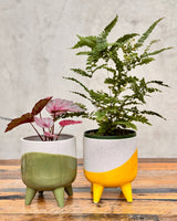 Wave Ceramic Planter With Legs