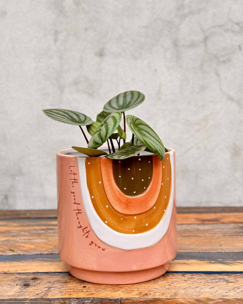 Lets Bloom Ceramic Planter