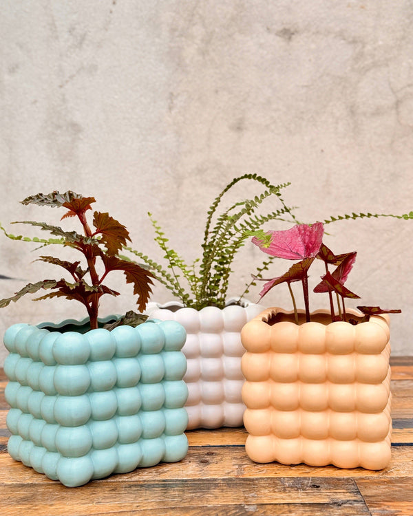 The Bubble Ceramic Cube Planter